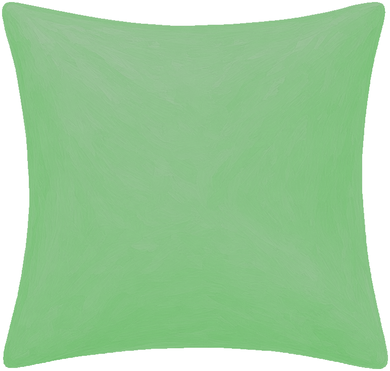 A green cushion.